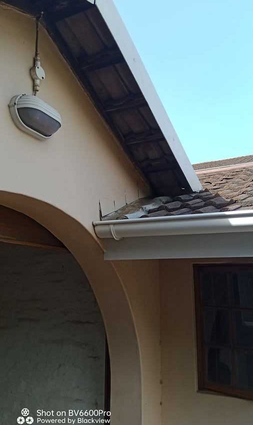 Roof Inspection