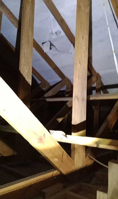 Roof Inspection - damaged underlay